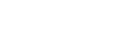 Wadferry